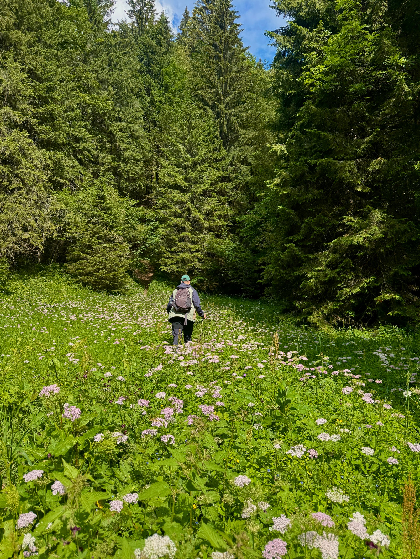 poza om traseu flori padure drumetie Romania